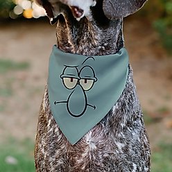 Buckle-Down SpongeBob SquarePants Squidward Close Up Slip-On Dog Bandana, Blue slide 2 of 6