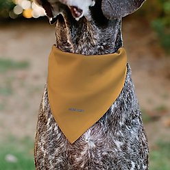 Buckle-Down Peanuts Marcie Smiling Slip-On Dog Bandana, Yellow slide 2 of 7