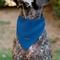 Show in main carousel: Buckle-Down Peanuts Lucy van Pelt Smiling Slip-On Dog Bandana, Blue slide 5 of 6