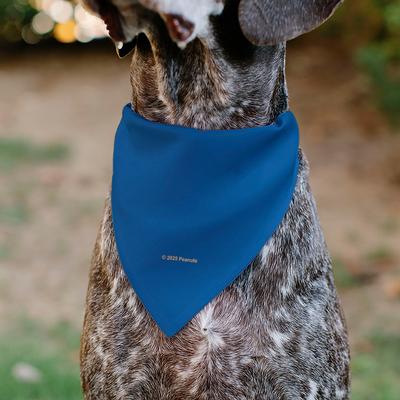 Show full view: Buckle-Down Peanuts Lucy van Pelt Smiling Slip-On Dog Bandana, Blue slide 5 of 6