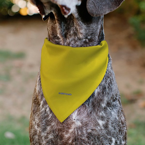 Buckle-Down Peanuts Good Ol' Charlie Brown Comic Scene Blocks Dog Bandana