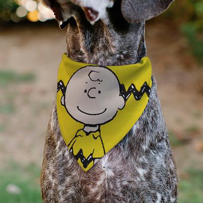 Show full view: Buckle-Down Peanuts Charlie Brown Smiling Slip-On Dog Bandana, Yellow slide 4 of 6