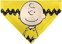 Buckle-Down Peanuts Charlie Brown Smiling Slip-On Dog Bandana, Yellow