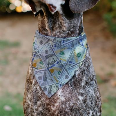 Show full view: Buckle-Down Vivid 100 Dollar Bills Stacked Slip-On Dog Bandana slide 4 of 6