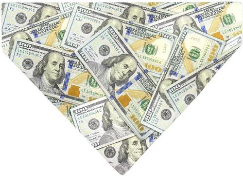 Show full view: Buckle-Down Vivid 100 Dollar Bills Stacked Slip-On Dog Bandana slide 2 of 6