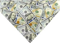 Buckle-Down Vivid 100 Dollar Bills Stacked Slip-On Dog Bandana