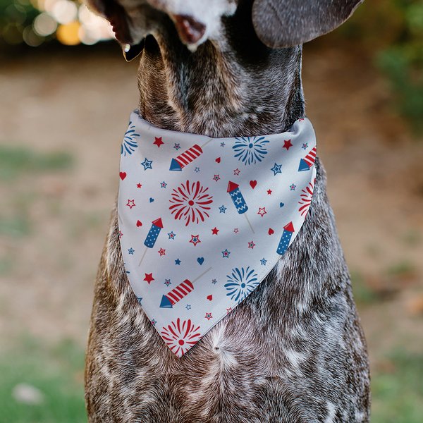 Show full view: Buckle-Down Stars & Stripes Fireworks Slip-On Dog Bandana, White slide 4 of 6
