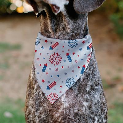 Show full view: Buckle-Down Stars & Stripes Fireworks Slip-On Dog Bandana, White slide 5 of 7