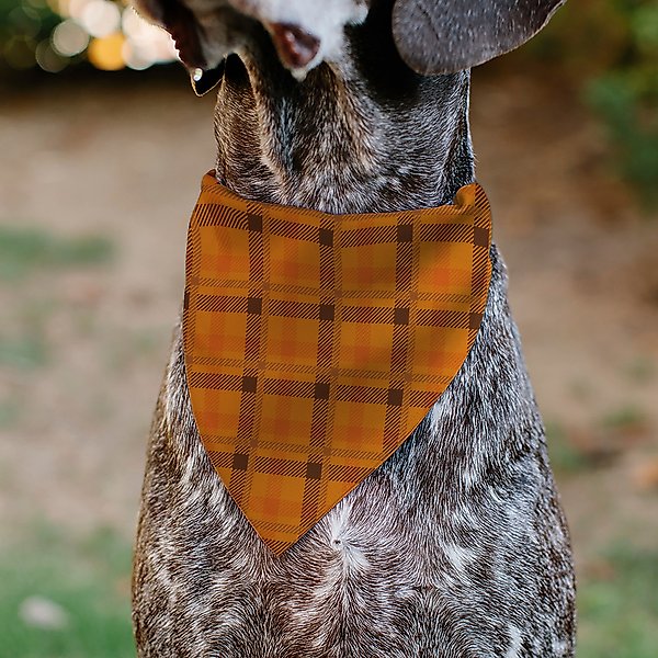 Show full view: Buckle-Down Plaid Slip-On Dog Bandana, Orange slide 5 of 6