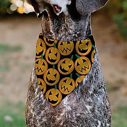 Buckle-Down Jack O Lantern Collage Slip-On Dog Bandana, Orange slide 2 of 6