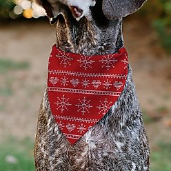 Buckle-Down Christmas Holiday Sweater Stitch Hearts & Snowflakes Slip-On Dog Bandana, Red/White slide 2 of 6