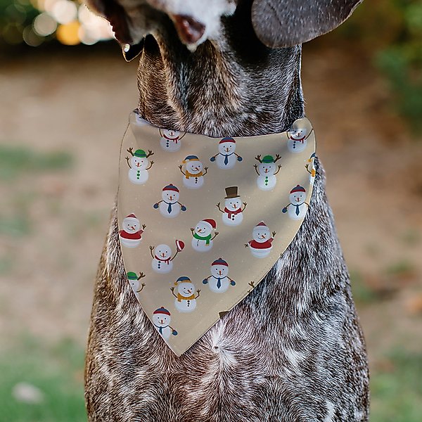 Show full view: Buckle-Down Holiday Snowman Poses Slip-On Dog Bandana, Tan slide 4 of 6