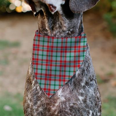 Show full view: Buckle-Down Christmas Holiday Pajama Plaid Slip-On Dog Bandana, Beige/Red/Green slide 4 of 6