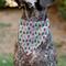 Show in main carousel: Buckle-Down Holiday Decorated Christmas Trees Collage Slip-On Dog Bandana, White slide 5 of 6
