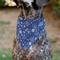 Show in main carousel: Buckle-Down Hanukkah Holiday Symbols Slip-On Dog Bandana, Blue slide 5 of 6