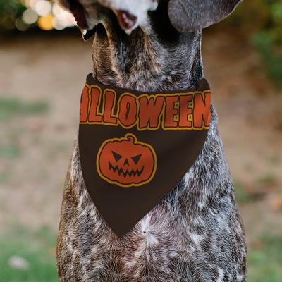 Show full view: Buckle-Down Halloween Jack O Lantern Pumpkin Slip-On Dog Bandana, Black slide 5 of 7