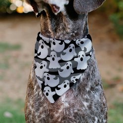 Buckle-Down Ghosts Scattered Slip-On Dog Bandana, White slide 2 of 7