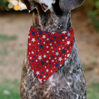 Show full view: Buckle-Down Americana Stars Slip-On Dog Bandana, Red slide 4 of 6