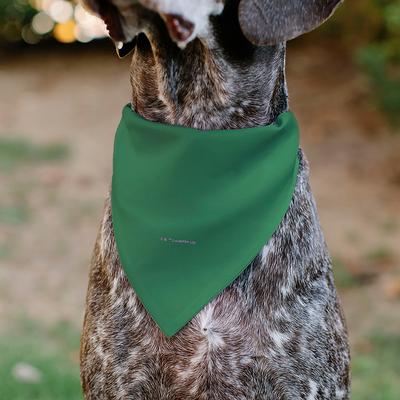 Show full view: Buckle-Down Star Wars Grogu I'm All Ears Slip-On Dog Bandana, Green slide 6 of 7