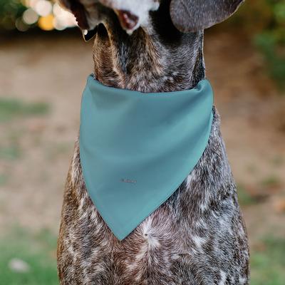 Show full view: Buckle-Down Disney Snow White Sweet Natured Slip-On Dog Bandana, Blue slide 6 of 7