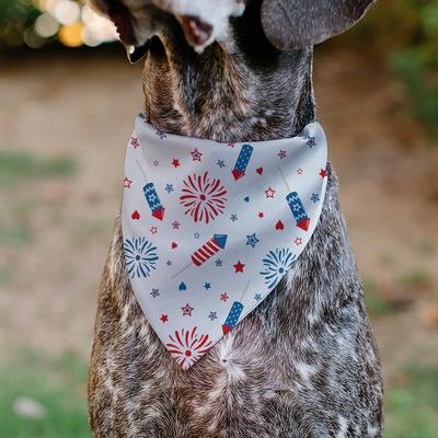 Show full view: Buckle-Down Stars & Stripes Fireworks Slip-On Dog Bandana, White slide 6 of 7