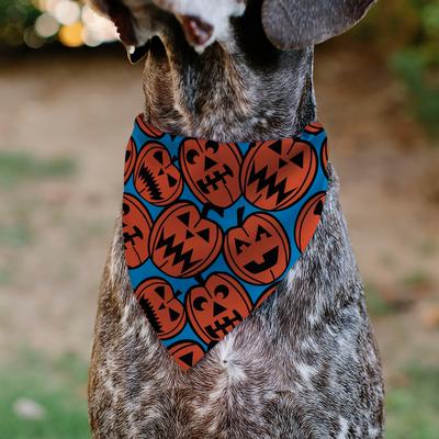 Show full view: Buckle-Down Jack O Lanterns Slip-On Dog Bandana, Blue slide 4 of 6