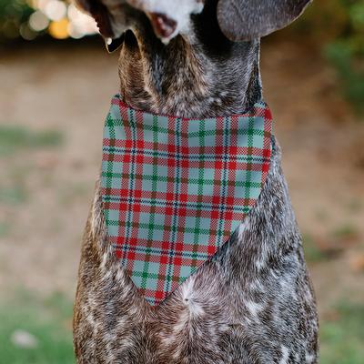 Show full view: Buckle-Down Christmas Holiday Pajama Plaid Slip-On Dog Bandana, Beige/Red/Green slide 5 of 6