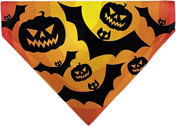 Show full view: Buckle-Down Halloween Bats & Jack O Lanterns Pumpkins Slip-On Dog Bandana, Orange slide 1 of 6