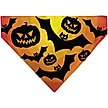 Show in main carousel: Buckle-Down Halloween Bats & Jack O Lanterns Pumpkins Slip-On Dog Bandana, Orange slide 1 of 6