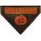 Show in main carousel: Buckle-Down Halloween Jack O Lantern Pumpkin Slip-On Dog Bandana, Black slide 1 of 7
