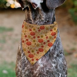 Buckle-Down Fall Harvest Pumpkins & Flowers Collage Slip-On Dog Bandana, Brown slide 2 of 6