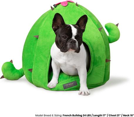 Show full view: Nandog Prive Collection Cactus Dog & Cat Bed slide 5 of 8