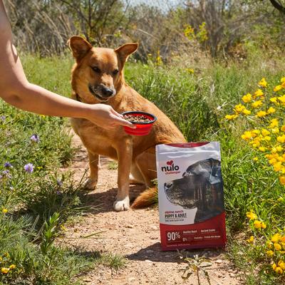 Show full view: Nulo Challenger Puppy & Adult Alpine Ranch Beef, Lamb & Pork Dry Dog Food, 24-lb bag slide 9 of 11