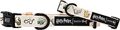 Sassy Woof Harry Potter Watercolor Dog Collar, Small: 13-in neck, 1/2-in wide