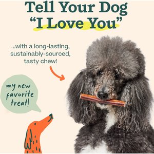 Woof High Protein 12-inch Bully Stick Dog Chew, 5 count