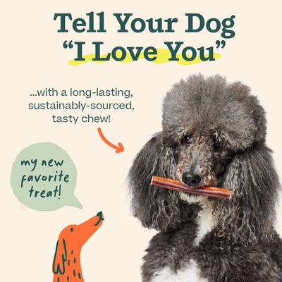 Show full view: Woof High Protein 6-inch Bully Stick Dog Chew, 5 count slide 7 of 8