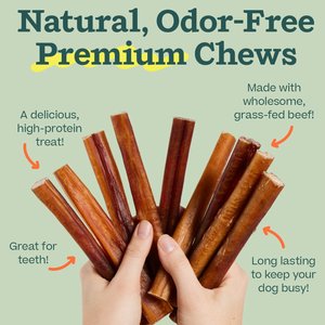 Woof High Protein 12-inch Bully Stick Dog Chew, 5 count