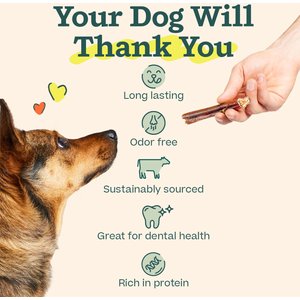 Woof High Protein 12-inch Bully Stick Dog Chew, 5 count