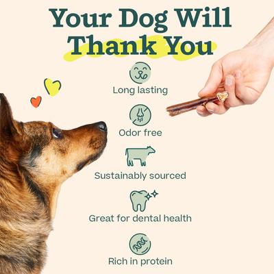 Show full view: Woof High Protein 6-inch Bully Stick Dog Chew, 5 count slide 5 of 8