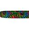 Show in main carousel: Country Brook Petz Tie Dye Stripes Dog Leash, Medium: 6-ft long, 5/8-in wide slide 6 of 6