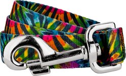 Country Brook Petz Tie Dye Stripes Dog Leash, Medium: 6-ft long, 5/8-in wide slide 1 of 6