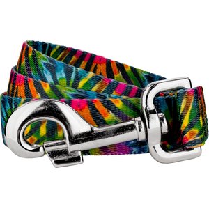 Country Brook Petz Tie Dye Stripes Dog Leash, Medium: 4-ft long, 5/8-in wide