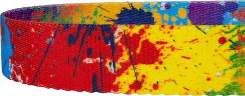 Show full view: Country Brook Petz Paint Splatter Dog Leash, Large: 4-ft long, 1-in wide slide 5 of 5