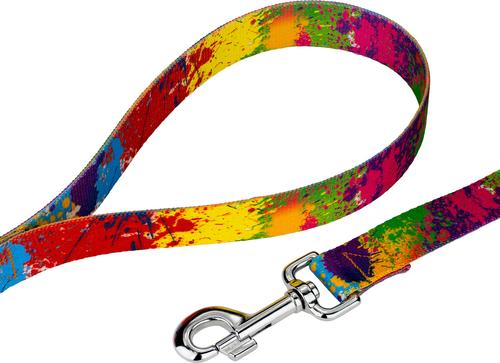 Show full view: Country Brook Petz Paint Splatter Dog Leash, Large: 4-ft long, 1-in wide slide 4 of 5