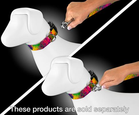 Show full view: Country Brook Petz Paint Splatter Dog Leash, Large: 4-ft long, 1-in wide slide 3 of 5