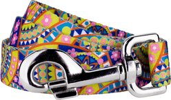Country Brook Petz Yellow Boho Mandala Dog Leash, Medium: 4-ft long, 5/8-in wide