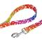 Show in main carousel: Country Brook Petz Trippy Doggo Dog Leash, Medium: 6-ft long, 5/8-in wide slide 3 of 4