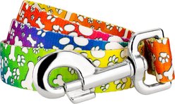 Country Brook Petz Trippy Doggo Dog Leash, Medium: 6-ft long, 5/8-in wide