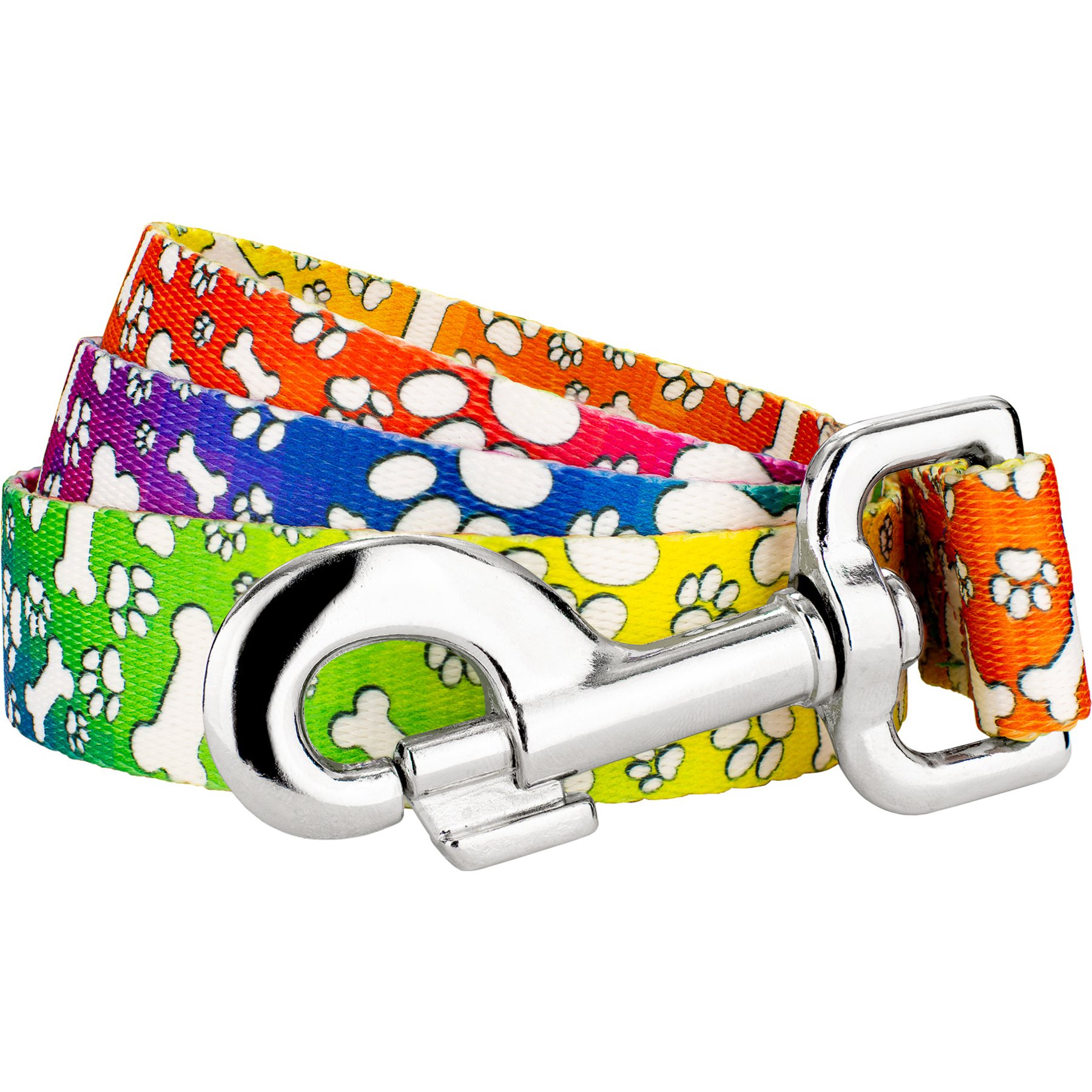 Country Brook Petz Trippy Doggo Dog Leash, Medium: 4-ft long, 5/8-in wide
