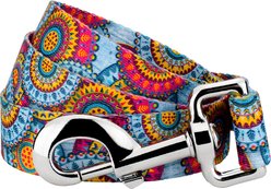 Country Brook Petz Sky Mandala Dog Leash, Medium: 6-ft long, 5/8-in wide